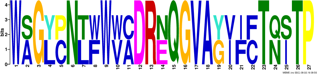 Png Logos Require Convert From Imagemagick (1142x294), Png Download