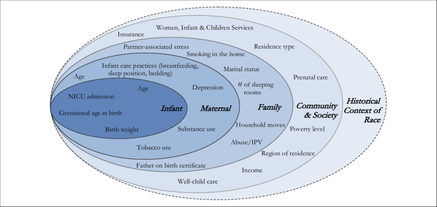 Socio Ecological Model Of Mother Infant Bed Sharing (850x403), Png Download