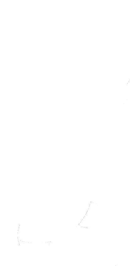 Vengeance-map (521x850), Png Download