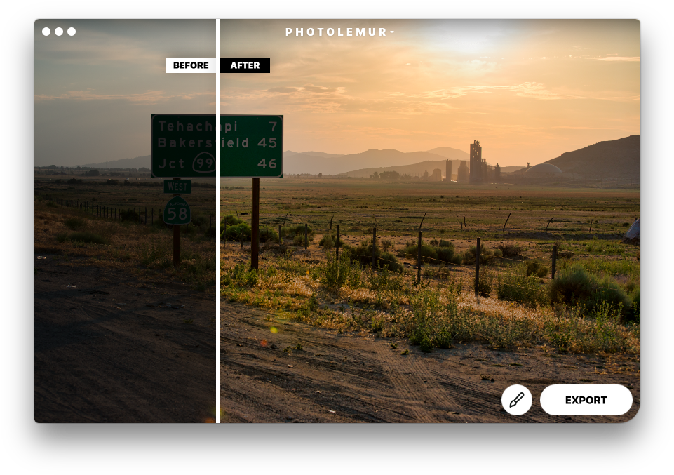 Photolemur (976x688), Png Download