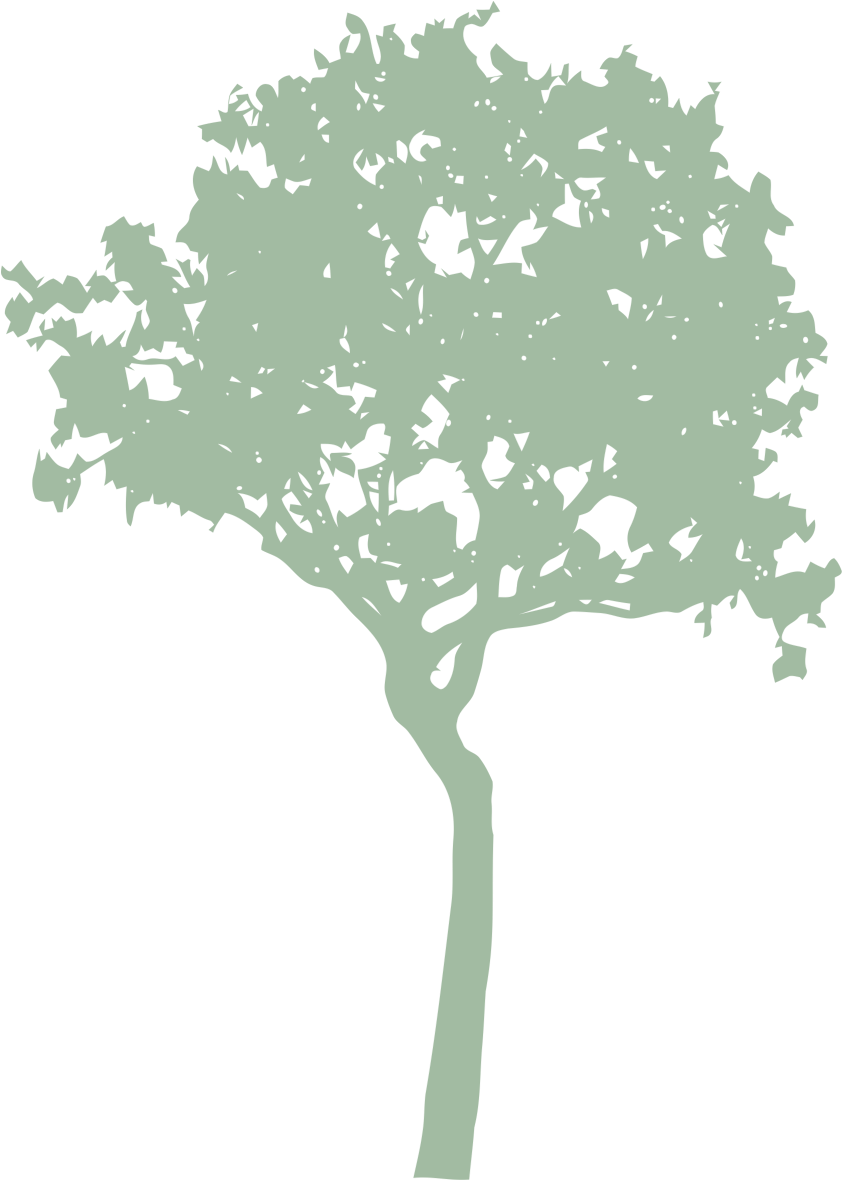 Pollarding (1200x1200), Png Download