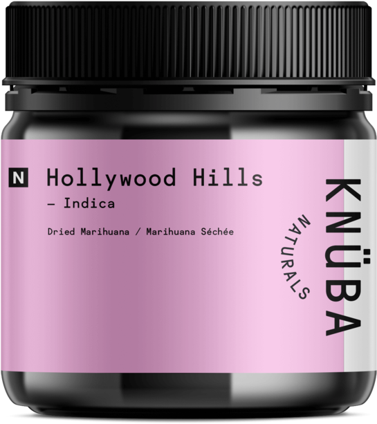 Hollywood Hills Png (1024x1024), Png Download