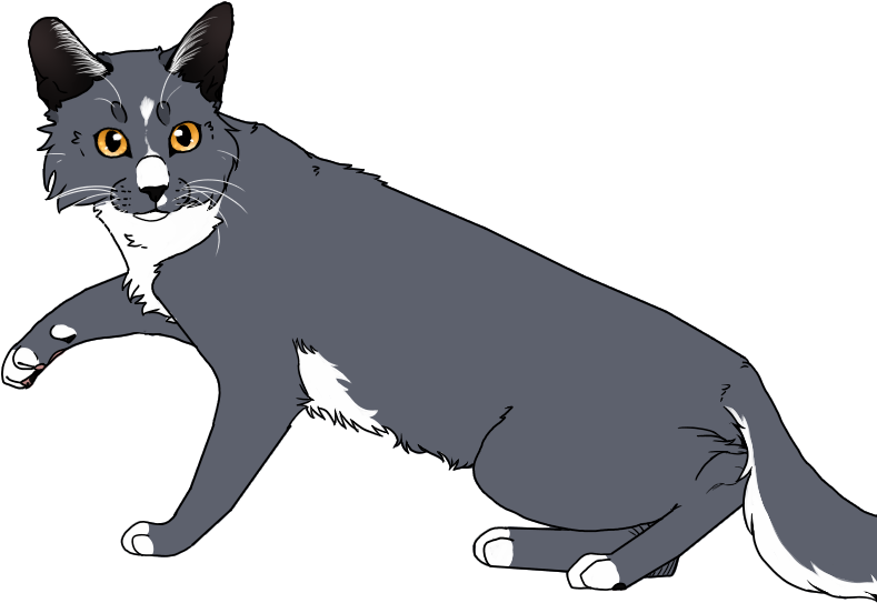 Bluebellpaw - Unknown (800x564), Png Download