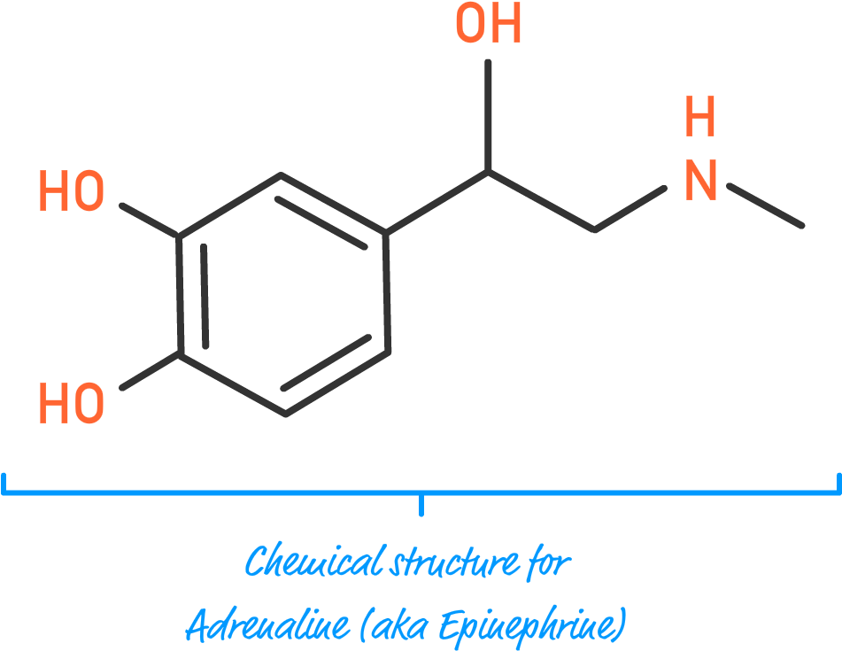 This Is Going To Be A Fun Exercise Where We Build Each (950x761), Png Download