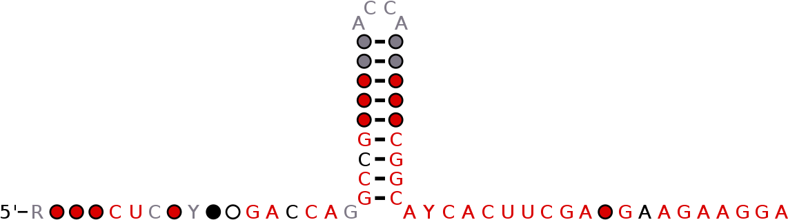 Succ Png (1200x405), Png Download