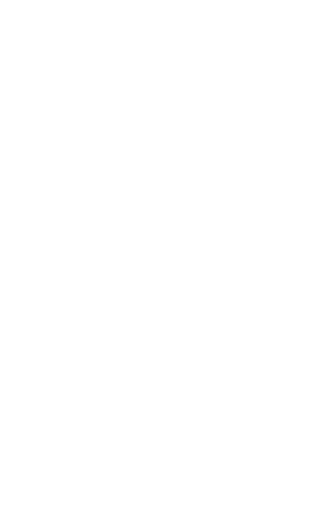 Vice Commander Of The Army (1024x1706), Png Download