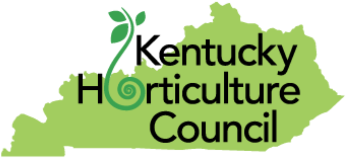 Cropped Khc Small 2121150455 1530896734371 (1200x573), Png Download