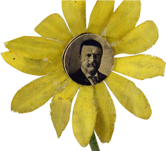 Theodore Roosevelt Clipart Flower (640x480), Png Download