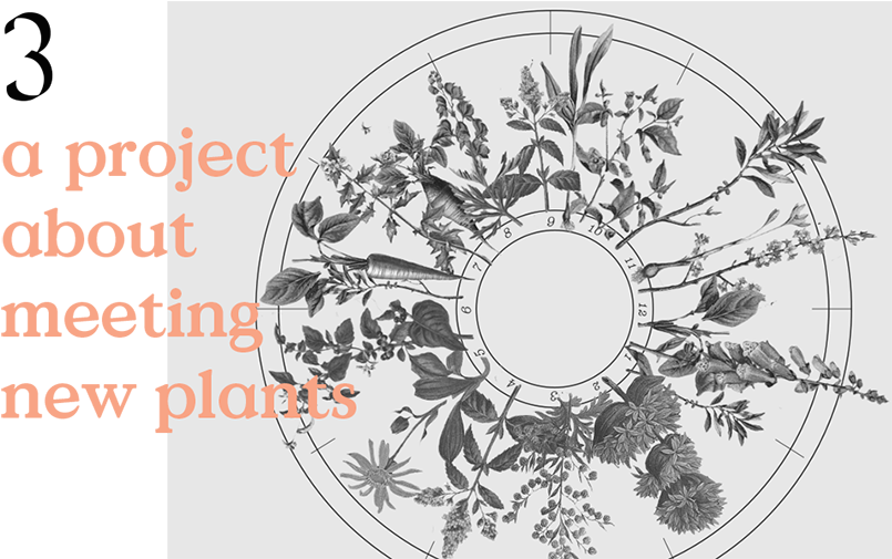 Sprout (864x547), Png Download