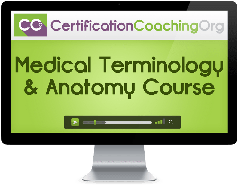 Medical Terminology & Anatomy Course (800x634), Png Download