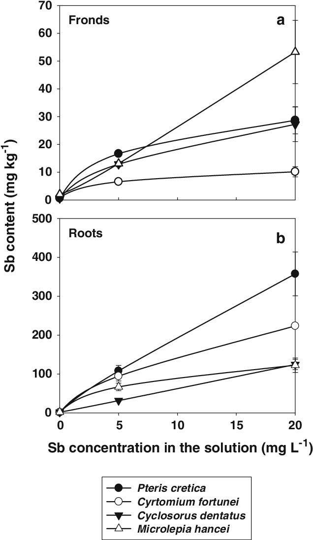 Antimony Accumulation In The Fronds And Roots Of Fern (646x1102), Png Download