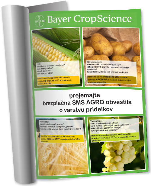 Bayer - Sms Tips (500x616), Png Download