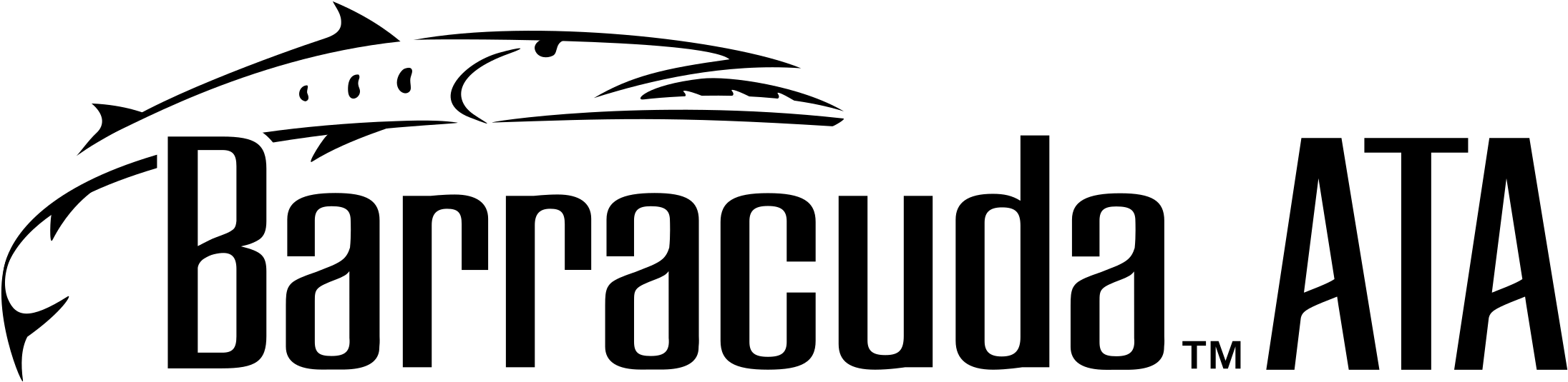Barracuda Ata Logo Png Transparent (2400x2400), Png Download