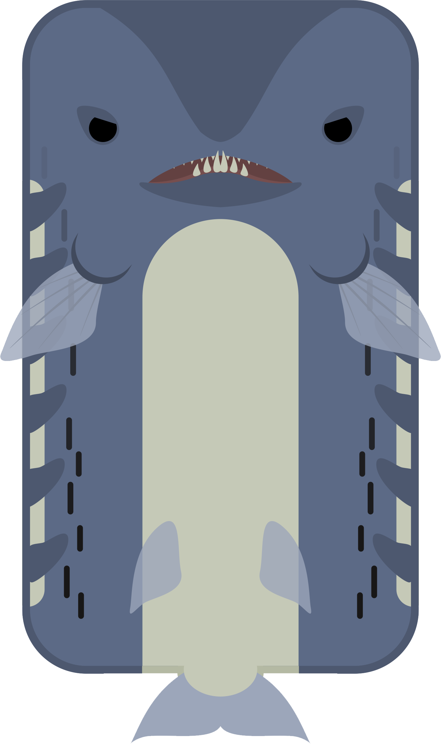 Animal[animal] Barracuda (1438x2426), Png Download