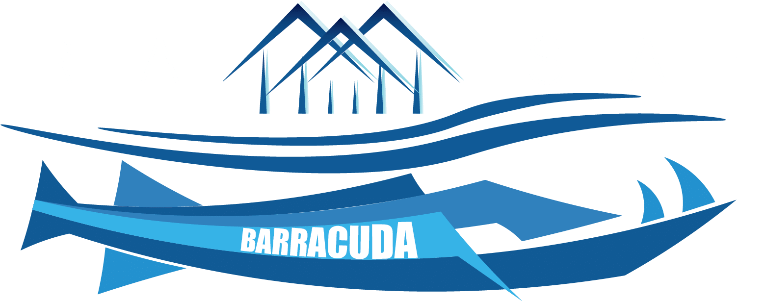 Barracuda Real Estate Barracuda Real Estate (1588x613), Png Download