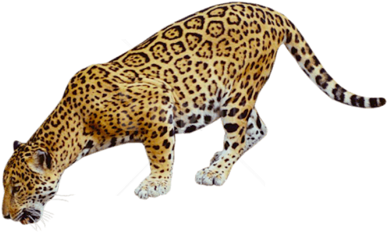 Coyote Buttes, The Wave (540x307), Png Download