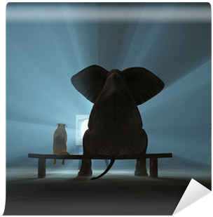 Television (400x400), Png Download