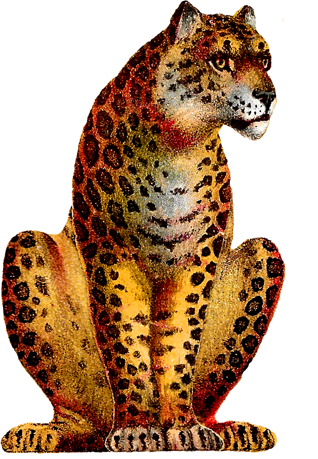 Sitting Leopard Png High-quality Image - Leopard Vintage (1123x1600), Png Download