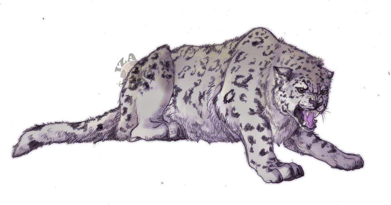 Animal Masquerade Mask (1280x672), Png Download