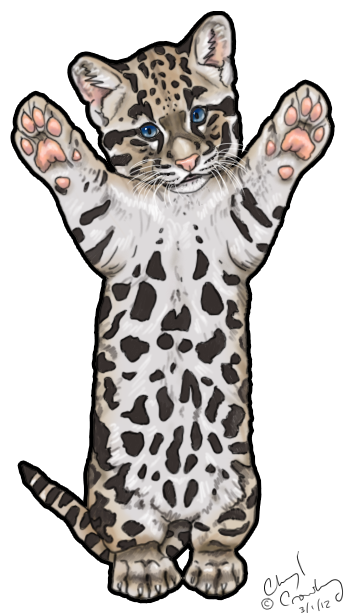 Png Black And White Download Cute Clouded By Silvercrossfox - Snow Leopard (398x617), Png Download