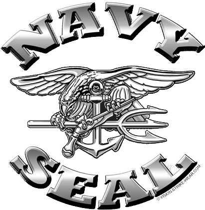 Navy - Logo Navy Seal Png (428x428), Png Download