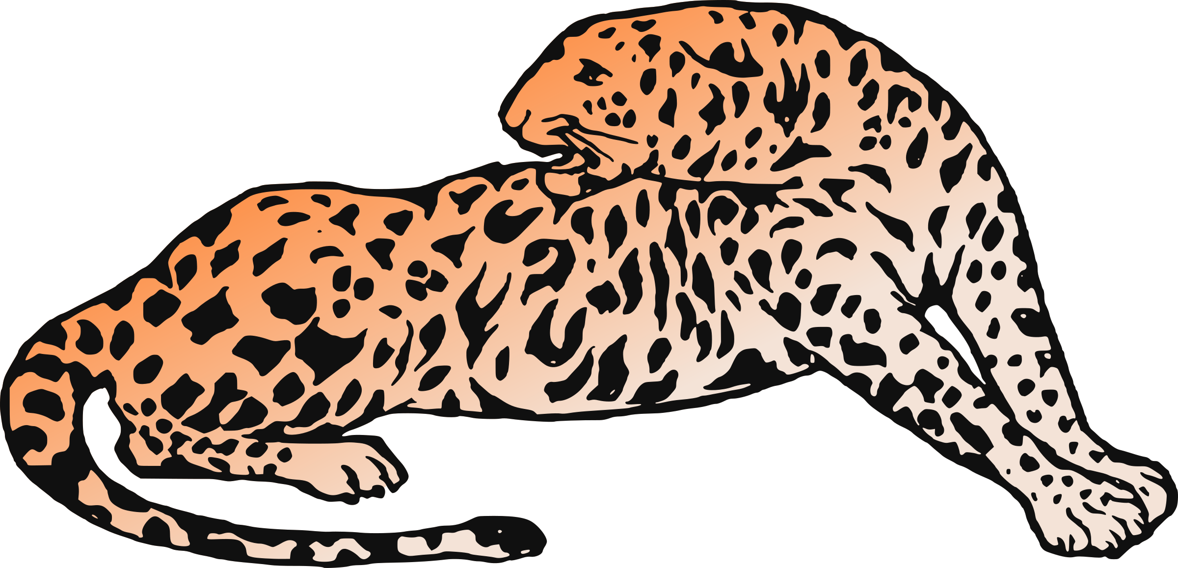 Big Image - Jaguar (2400x1157), Png Download