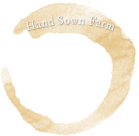 Paper (486x482), Png Download