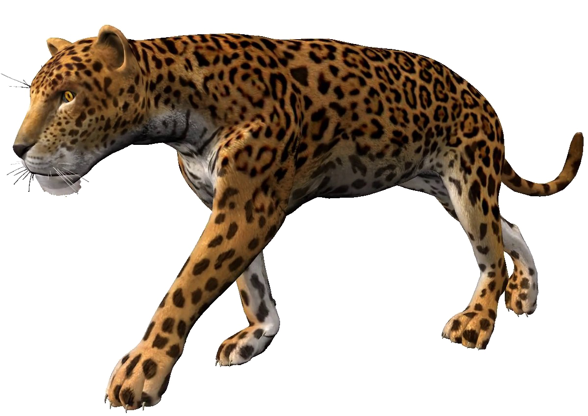 Walking Leopard Png Pic - Elephant Alpha Channel (1920x1080), Png Download