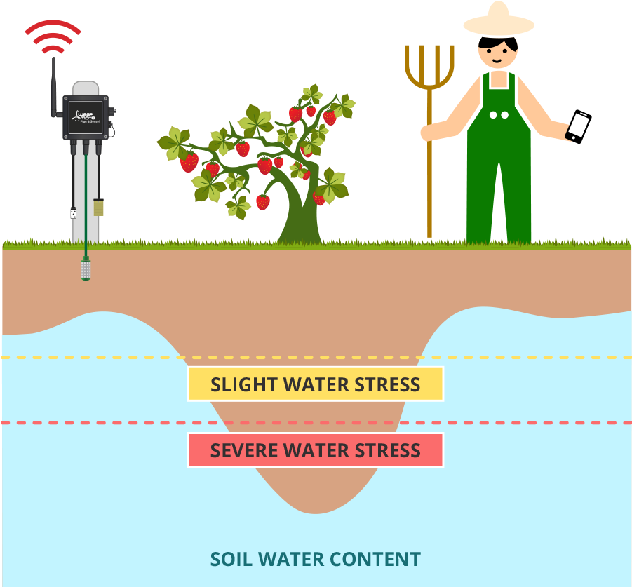 Waspmote Plug & Sense Smart Agriculture Schema - Crop Water Management Iot (900x875), Png Download