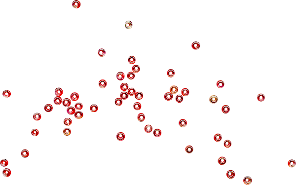 Scatteredbeads - Scattered Beads (600x375), Png Download