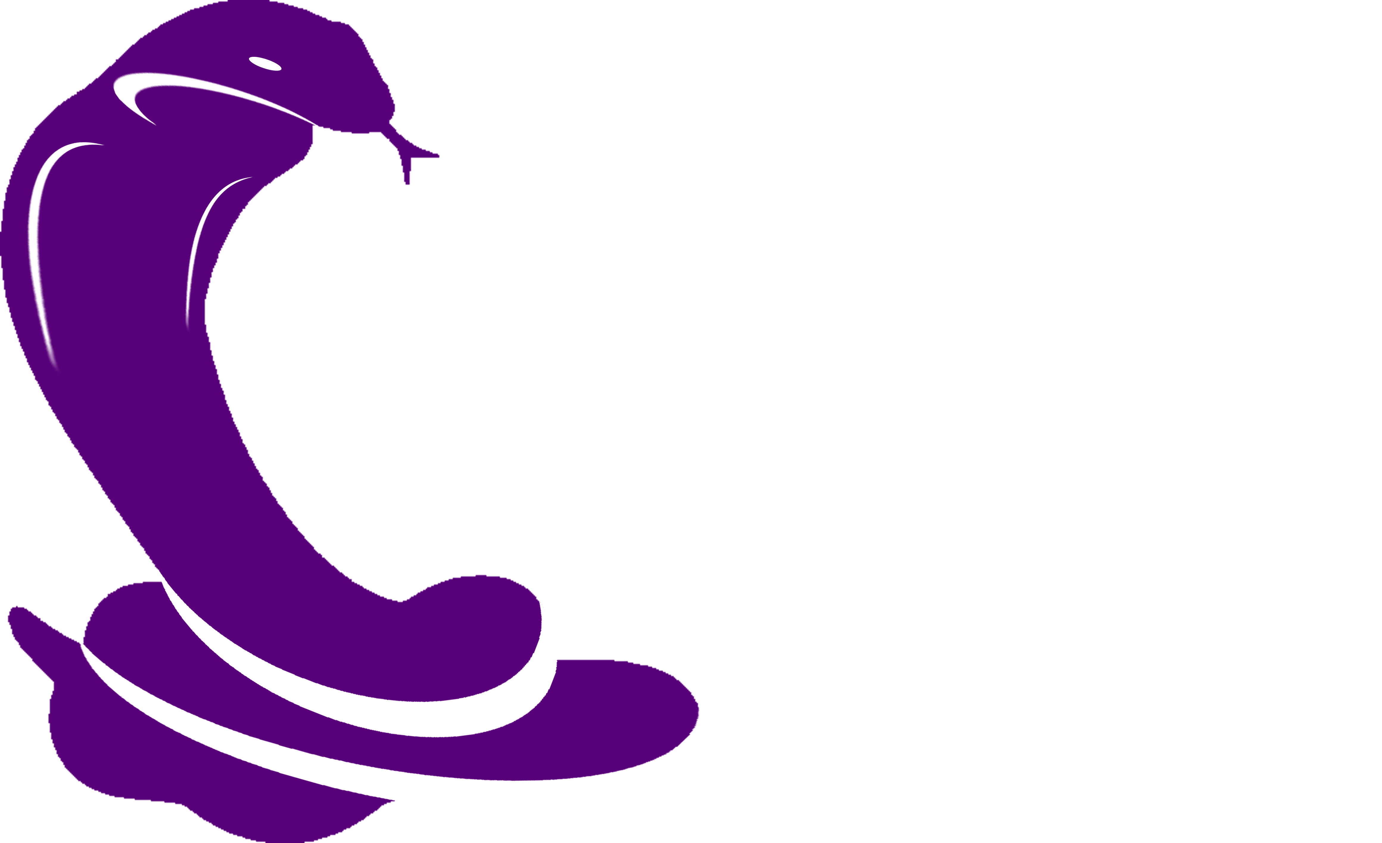 Ultrasonic Testing Solutions For Non-destructive Testing - Purple Cobra Png (4641x2833), Png Download