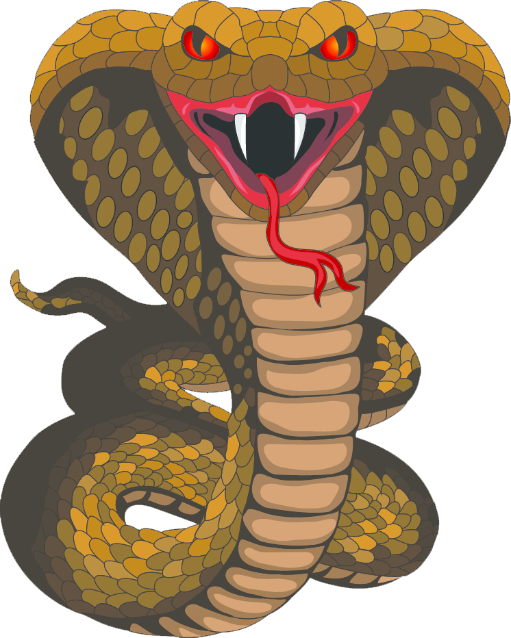 King-cobra - King Cobra Clipart (746x932), Png Download