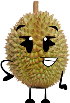 Durian (420x437), Png Download