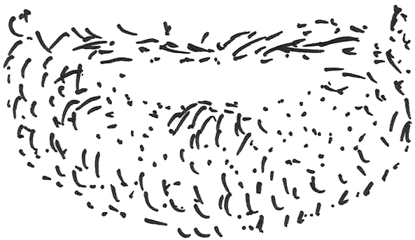 Stubble Beard Png - Beard Stubble Png (710x500), Png Download