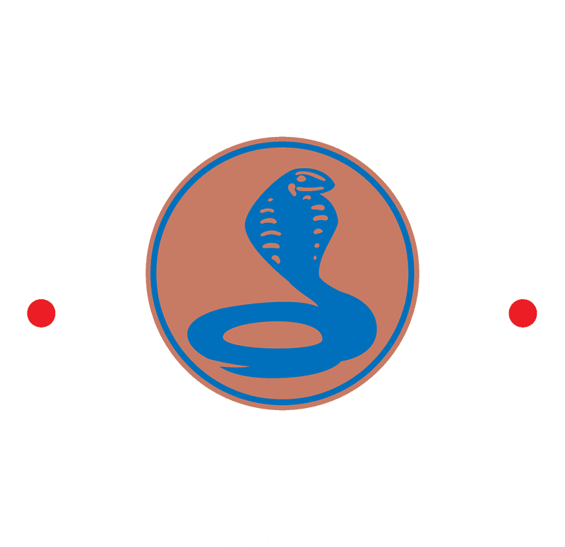 Blue Cobra Logo - Logo (800x775), Png Download