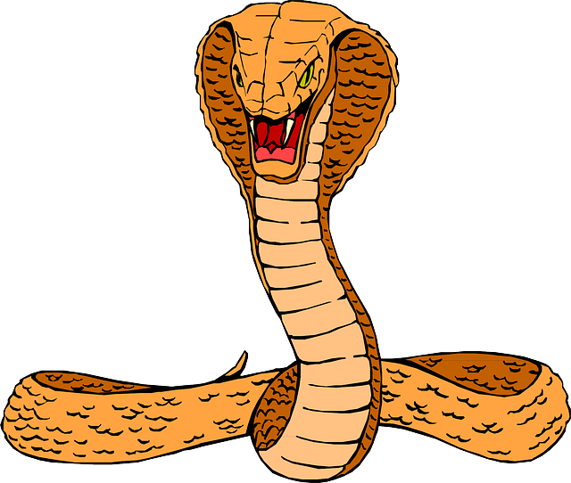 Orange Cobra Clip Art At Clker - Clipart Cobra (600x509), Png Download