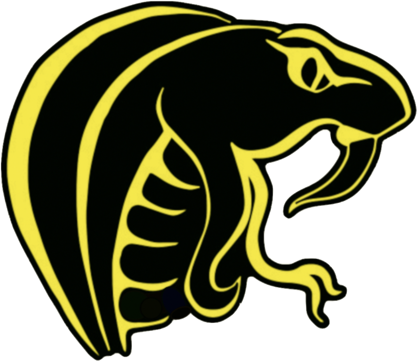 Logo - Cobra Kendama (1166x782), Png Download