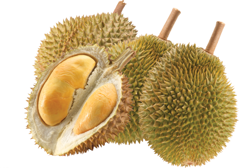 Durian The Smelliest Superfruit - Malaysian Fruits Transparent Background (800x555), Png Download