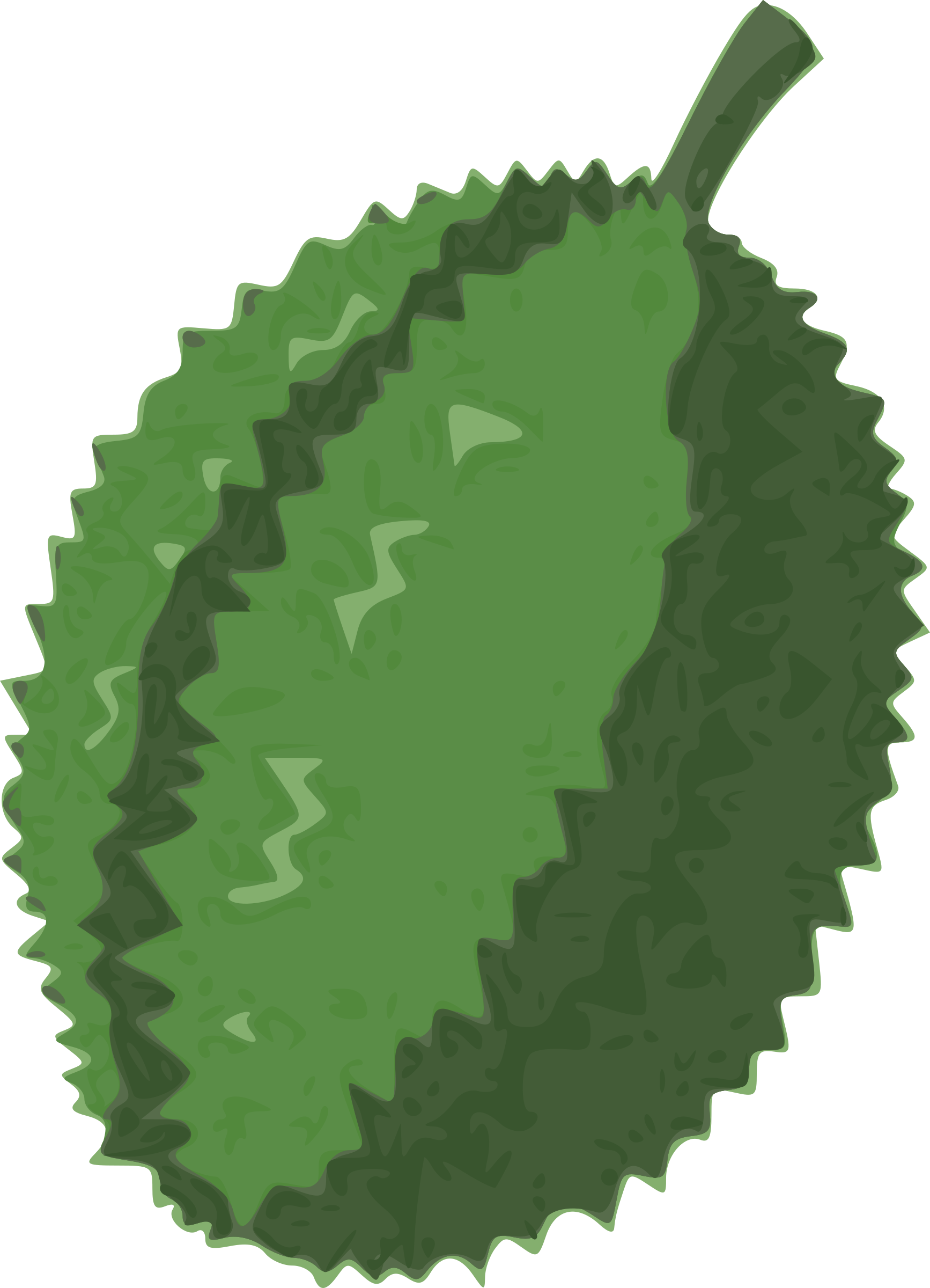 Big Image - Durian Fruit Clip Art (1734x2400), Png Download