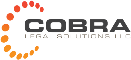 Autogold Pl.cob.es Brushed License Plate (685x300), Png Download