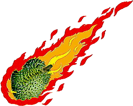 Lempar Durian (450x359), Png Download