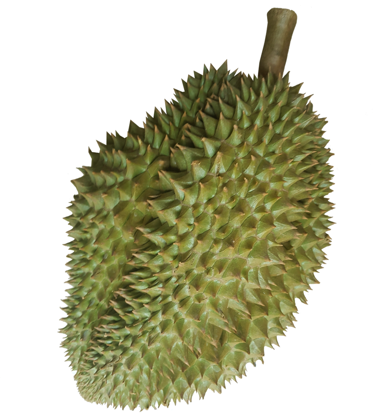 Ex-factory Or Fob Bangkok - Child (850x875), Png Download