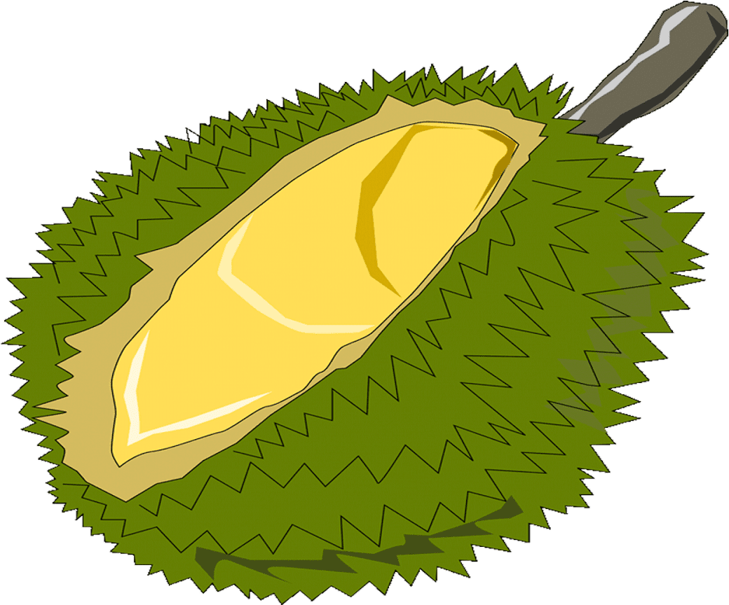 Vector Royalty Free Free Fruits Name - Durian Clipart Png (1600x900), Png Download