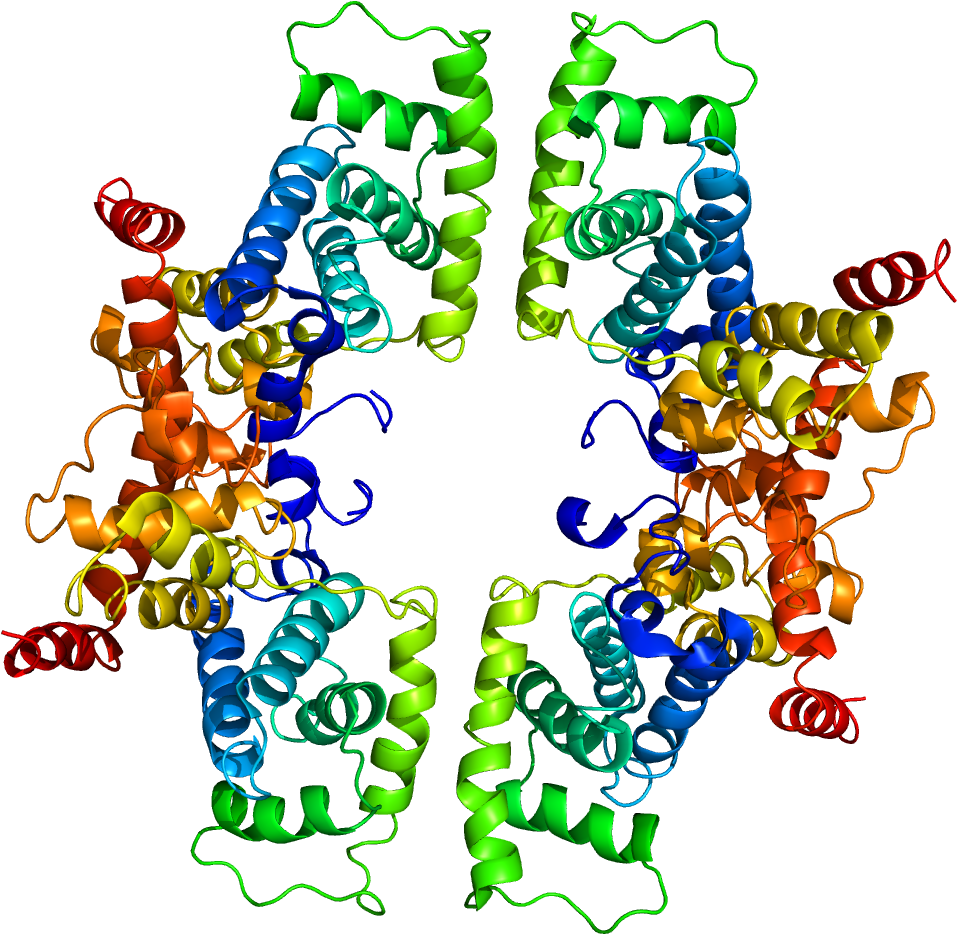 Protein Ccnt1 Pdb 2pk2 - Cyclin T1 (1200x1000), Png Download