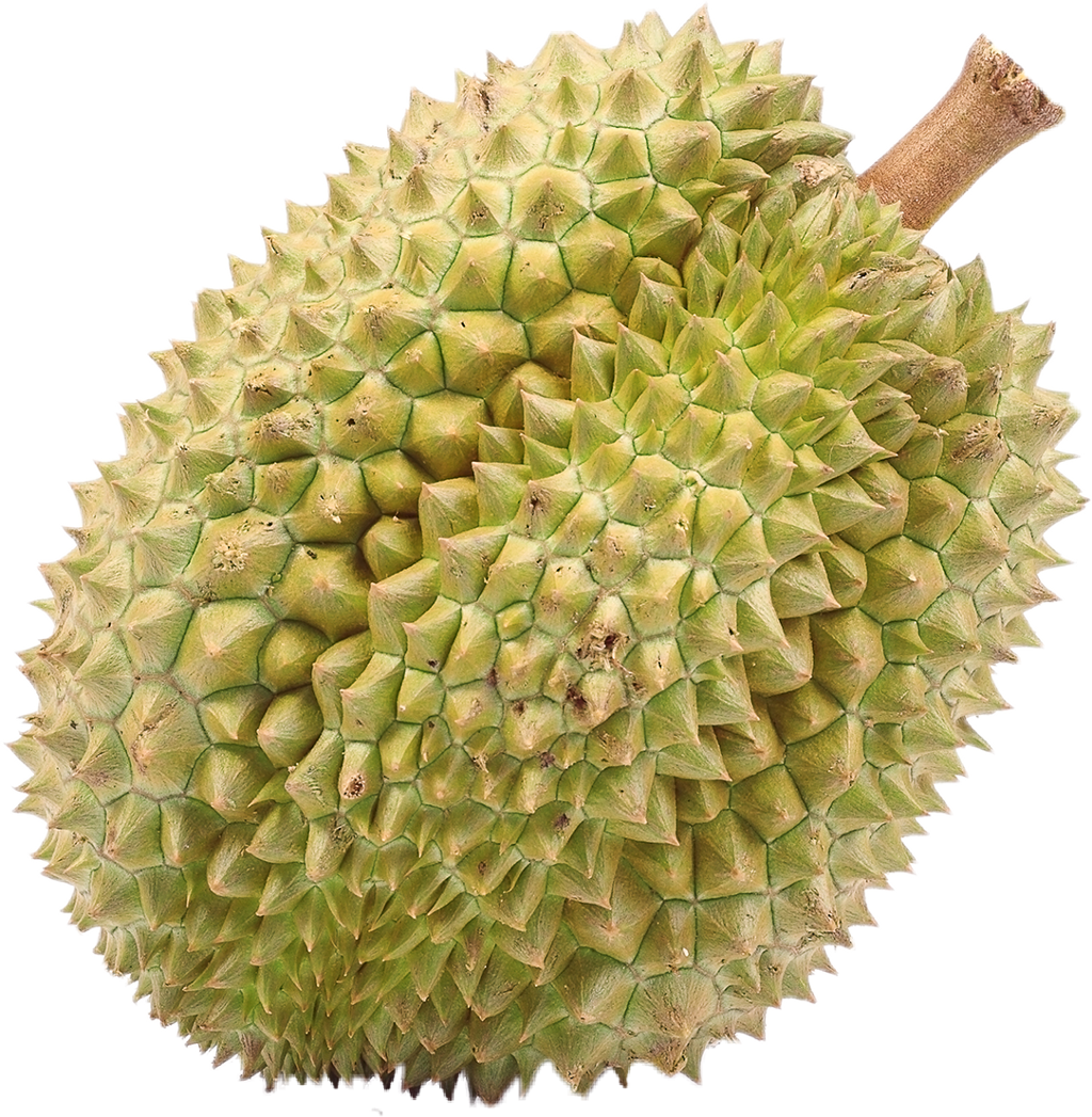 Durian (1024x1047), Png Download