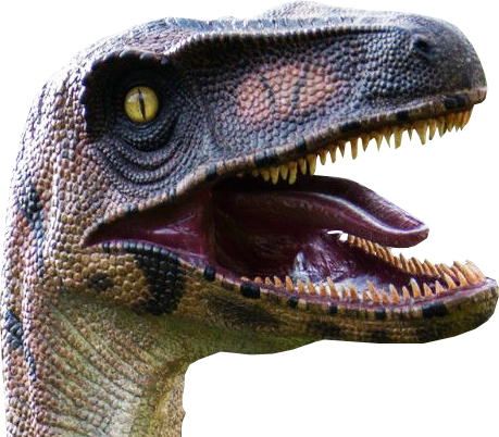 Background Designs, Background Images, Website Images, - Dino Head No Background (459x402), Png Download