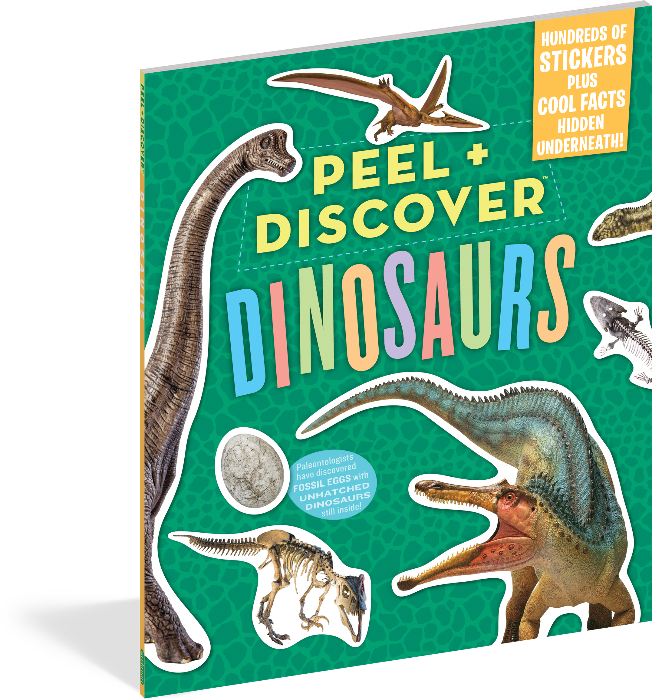 Peel Discover - Author (2286x2400), Png Download