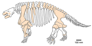 Who Ruled Earth Before The Dinosaurs The 'ugliest Fossil - Shihtienfenia (300x200), Png Download