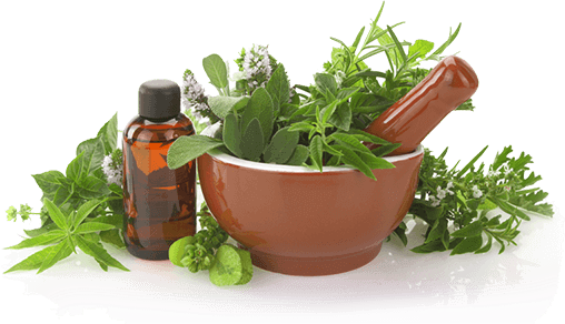 When Nature And Science Meet - Essential Oils Quick Reference Guide For Over 100 Common (508x292), Png Download