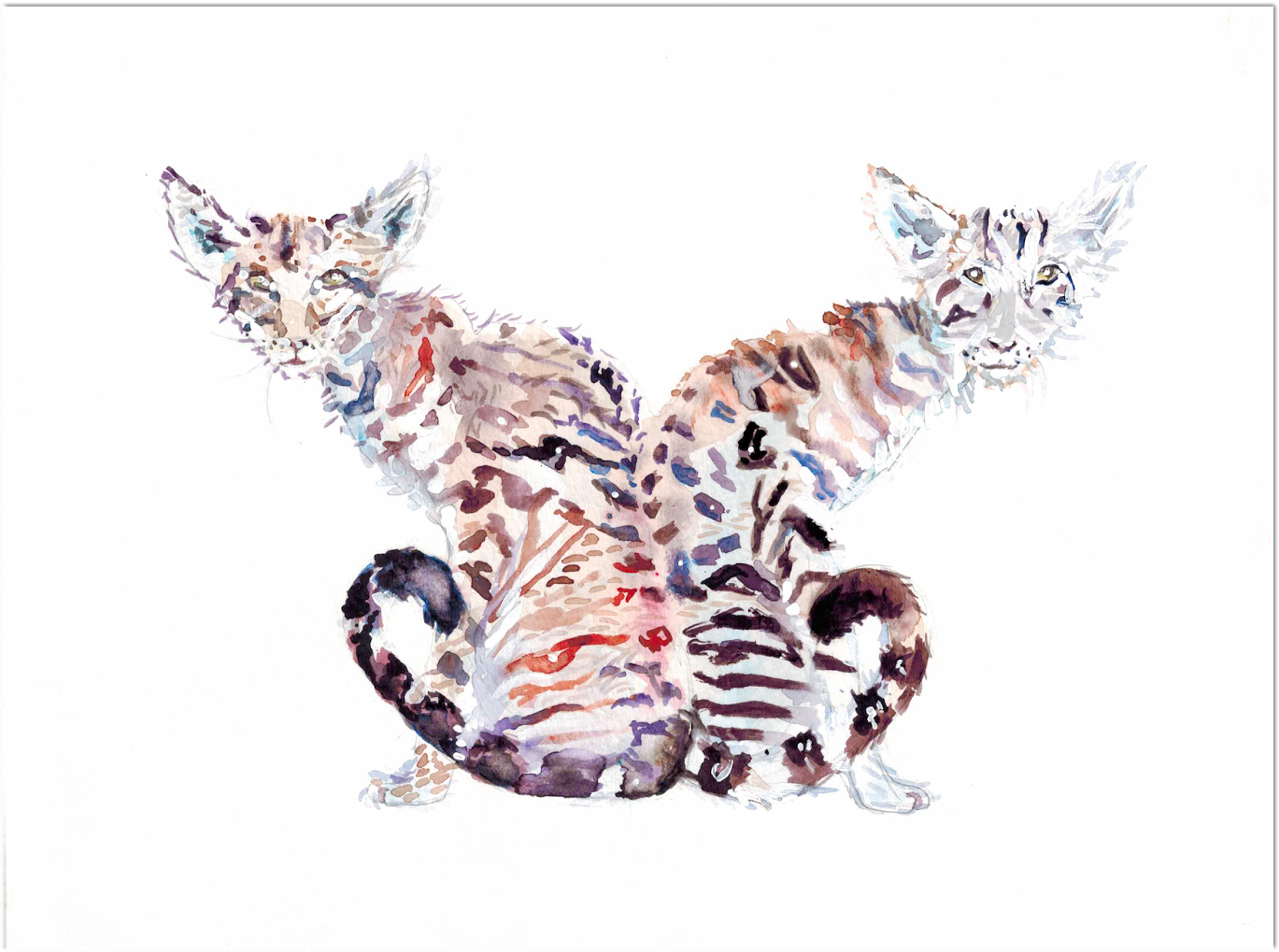 Watercolor Two Headed Cat - Sphynx (1600x1228), Png Download